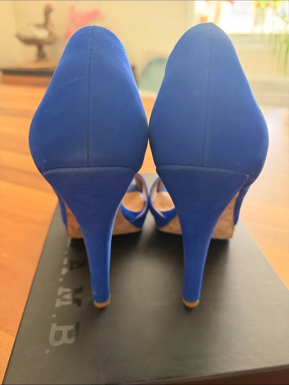 L.A.M.B. bold cobalt